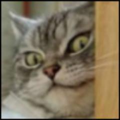 monstermedia_co's profile picture. 