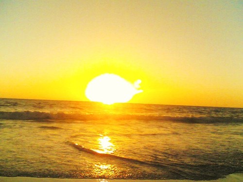 SeenaPriyan's profile picture. 