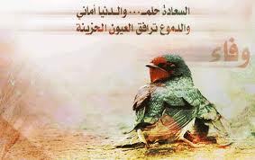 reem_basma's profile picture. 