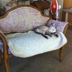 candicebarton's profile picture. 