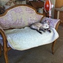 Candice Barton - @candicebarton - Twitter