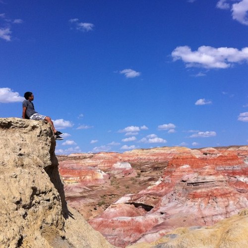 tatsushimiyaki's profile picture. 