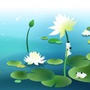 Kashif Rasheed - @KashifRasheed01 - Twitter