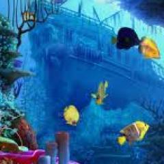 sanjizmn's profile picture. 