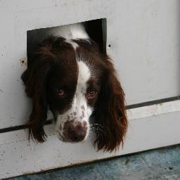 Enjoys life, mud, water and more mud preferably smelly! check out my blog. http://t.co/00SvBy2m