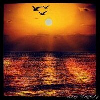 Judy Clem - @JudyClem1 Twitter Profile Photo