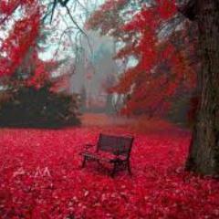 gulsum_celik's profile picture. 