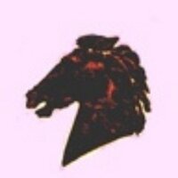 Haras de la Huderie (@huderie) 's Twitter Profile
