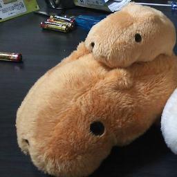 はじめまして、田中です。
よろしくお願いします。