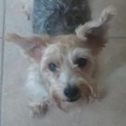 LPCutter's profile picture. Currently occupying a fleshy meat sack with my consciousness. Take that 1%ers!