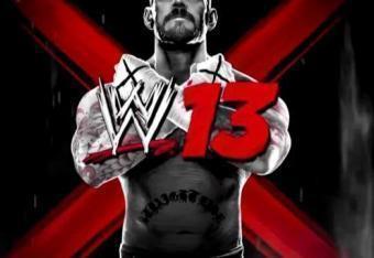 im a fan of wwe my dream is to be a wwe superstar i love wwe im a fan of cm punk im 23 years old