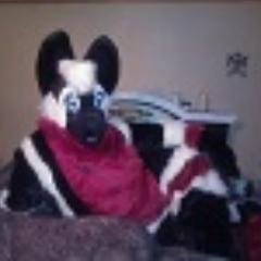 A big, soft, cuddly, fluffy, Wulfy always up for cuddles and fun times.  Happily Mated to a wonderful guy!