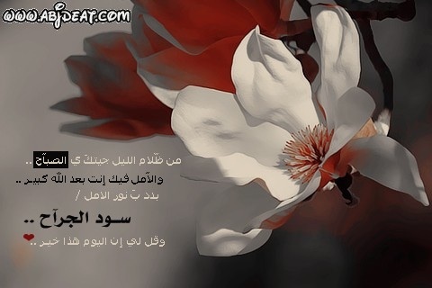 صباح مساء الخير جميعا أسأل الله لكم التوفيق والسداد