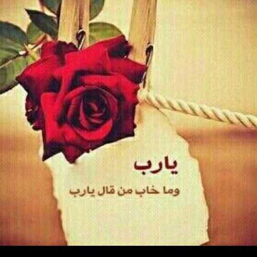 hay1389's profile picture. وهذا الوقت سيمضي ..