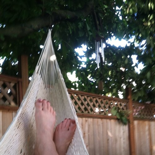 Just a teacher, a learner, a gardener, a dancer, a lounger, a reader, a dog-lover, a hiker, a traveler, a knitter, a...