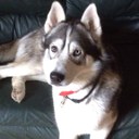 Daniel - @daniel_ramsay - Twitter