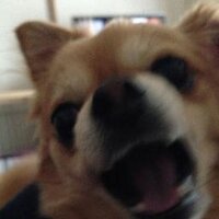 noc (@noc__) Twitter profile photo