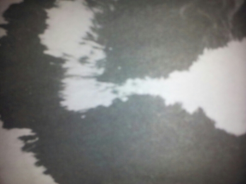 apvanbeek7's profile picture. 