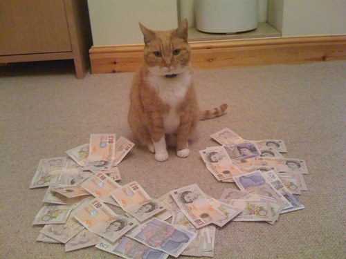Football Survivor a game run for fun. Biggest winner Ginge £550. Longest winning run Nelly 15.
