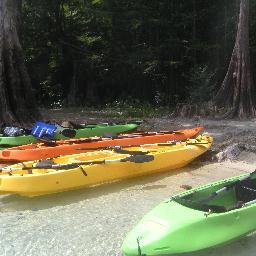 Debleigh9's profile picture. 