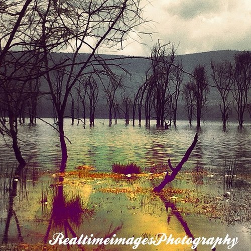 Realtimeimage's profile picture. We do photography..freelance mainly. :)