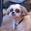 Dick Parry - @dickie1me - Twitter