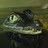 ReptacularLtd's profile image
