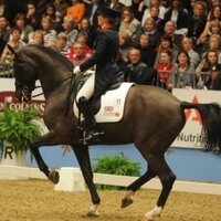 Altogetherequestrian (@altogethereques) 's Twitter Profile