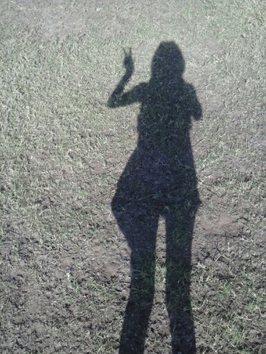 #FOLLOBACK SEGURO