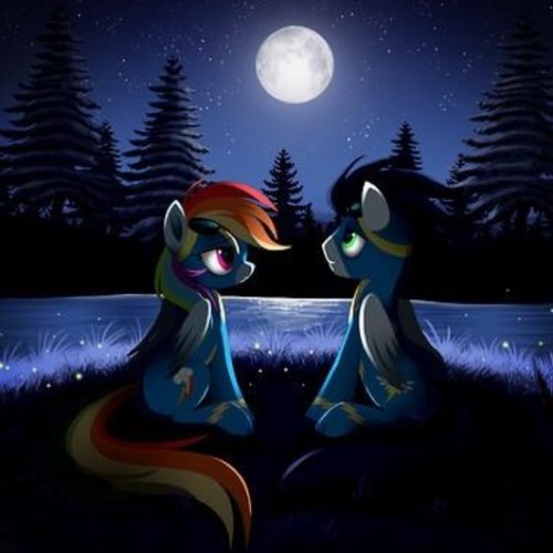 Just your average everyday Pony! (somtines clubpenguin) Makes awsome My Little Pony icons and more! Order from me! (also own fowl) matt and kim lets go