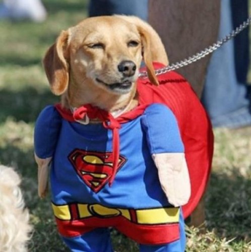 droog_gewoon's profile picture. Follow my