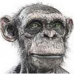 rubenc's profile picture. The real rubenc