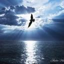 justin maiden - @justinmaiden1 - Twitter