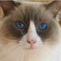 Barney (@barneyclarke73) 's Twitter Profile