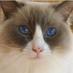 Barney (@barneyclarke73) Twitter profile photo