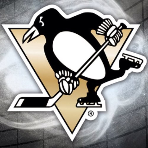 HERE WE GO STEELERS!! LETS GO PENS! PITT IS IT!!