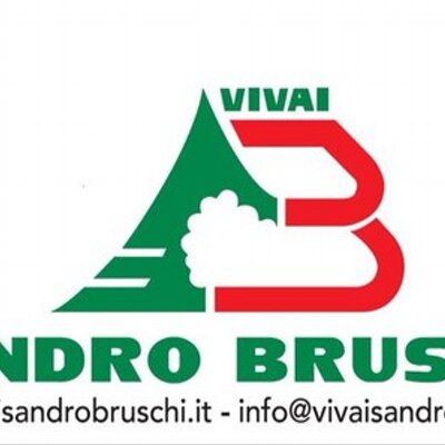 Vivai Sandro Bruschi (@VivaiBruschi) / X
