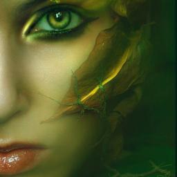 LeafInTheWiiind's profile picture. 