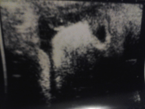 fancynancy232's profile picture. 