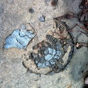 Kimberly Sultan - @kimsultan - Twitter