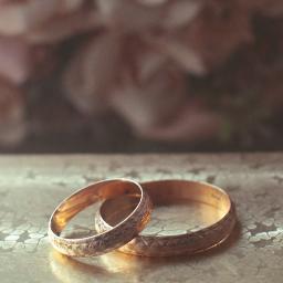 SOFTLIGHT_'s profile picture. WEDDING PHOTOGRAPHERS