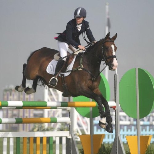 amycrerar's profile picture. Human and Equine chiropractor.