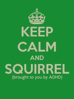 42william42's profile picture. Just tryin' to make a little sense of it all....