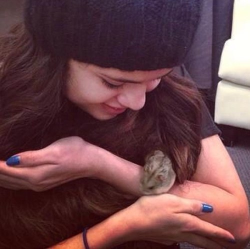 || Used to be SelenaGTC . || Just a girl who eats oreos with a fork. •~• //Single-FL//
 (⌒▽⌒)