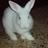 Tania_Javi's profile image