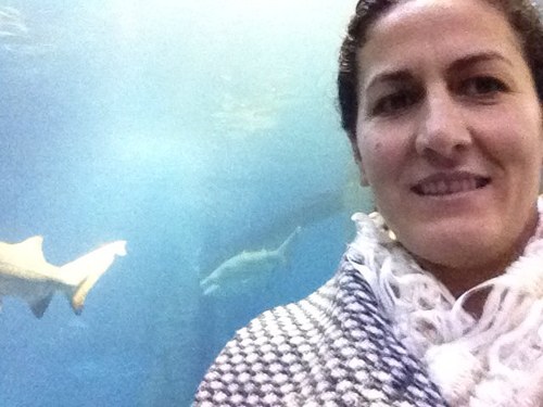 SellingMainLine's profile picture. I work at Prudential Fox&Roach West Chester office I help clients buy/sell houses in Chester County & surrounding areas Call my direct office number 6104292389