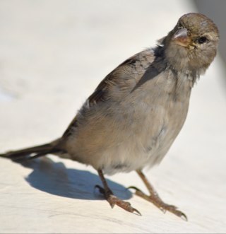 theabbiss's profile picture. F1, holidays, etc