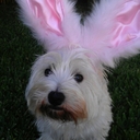 Amanda Yow - @fasterpussycat8 - Twitter