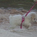 Lucia Payne - @LuciaPayne11 - Twitter