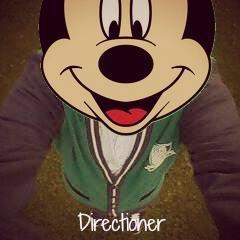 Hi , i'm a boy Directioner Mixer & Belieber and i sing covers of them . HNLLZ are my models . ♥